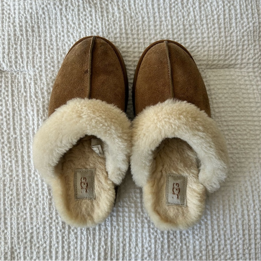 UGG Disquette Slippers